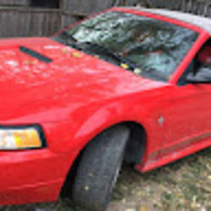 Meet your Posher, Stephen